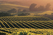 St. Helena, California